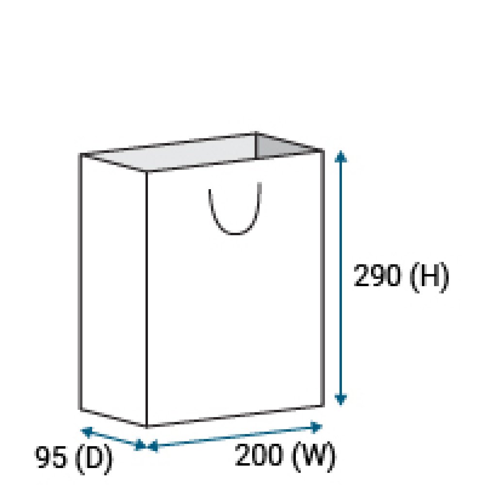 Size C: 290 x 200 x 95 (mm)